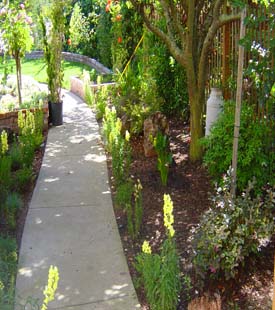 deck contractor bay area